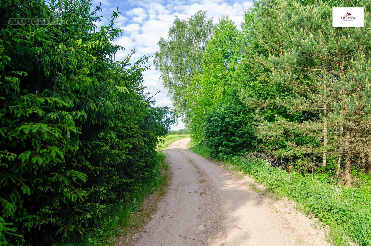Parduodamas vaizdingas 47,85 a. žemės sklypas - nuotraukos Nr. 20