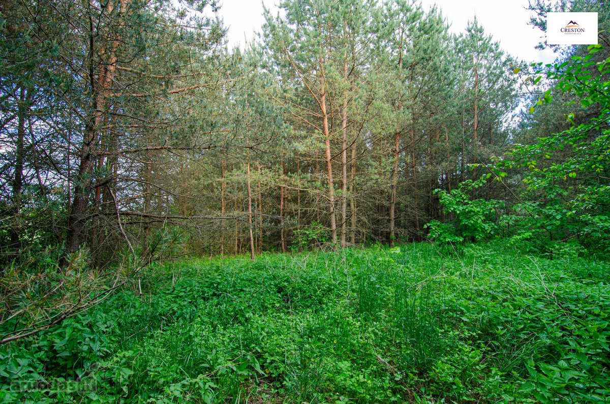 Parduodamas vaizdingas 47,85 a. žemės sklypas - nuotraukos Nr. 21