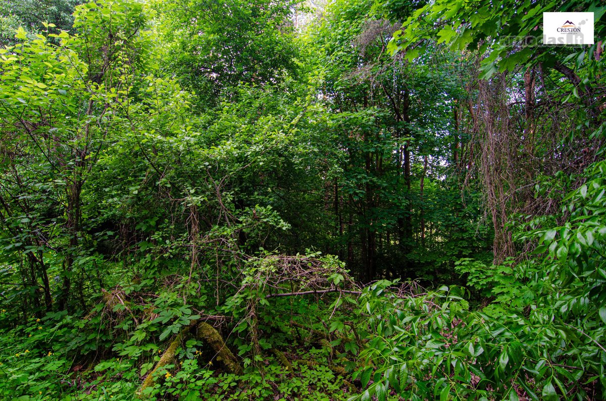 Parduodamas vaizdingas 47,85 a. žemės sklypas - nuotraukos Nr. 22