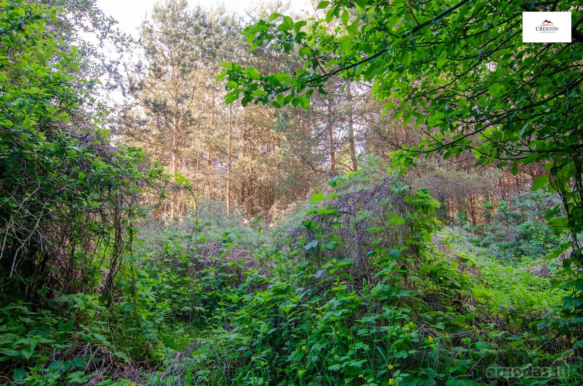 Parduodamas vaizdingas 47,85 a. žemės sklypas - nuotraukos Nr. 24