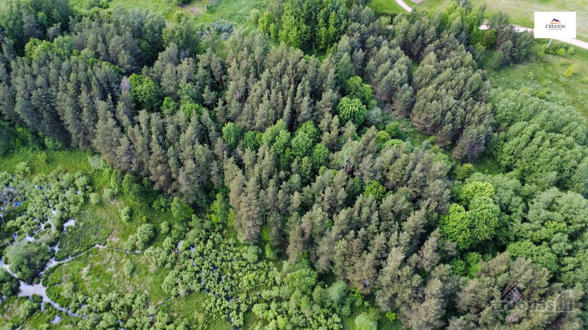 Parduodamas vaizdingas 47,85 a. žemės sklypas - nuotraukos Nr. 5
