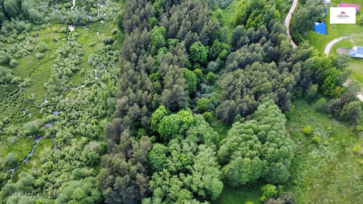 Parduodamas vaizdingas 47,85 a. žemės sklypas - nuotraukos Nr. 6