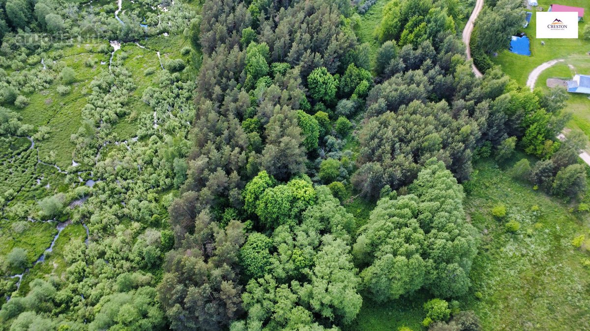 Parduodamas vaizdingas 47,85 a. žemės sklypas