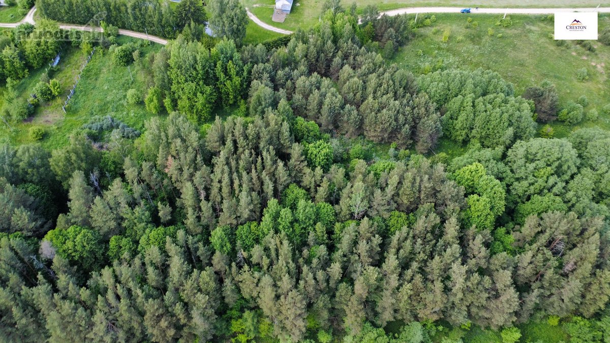 Parduodamas vaizdingas 47,85 a. žemės sklypas - nuotraukos Nr. 7