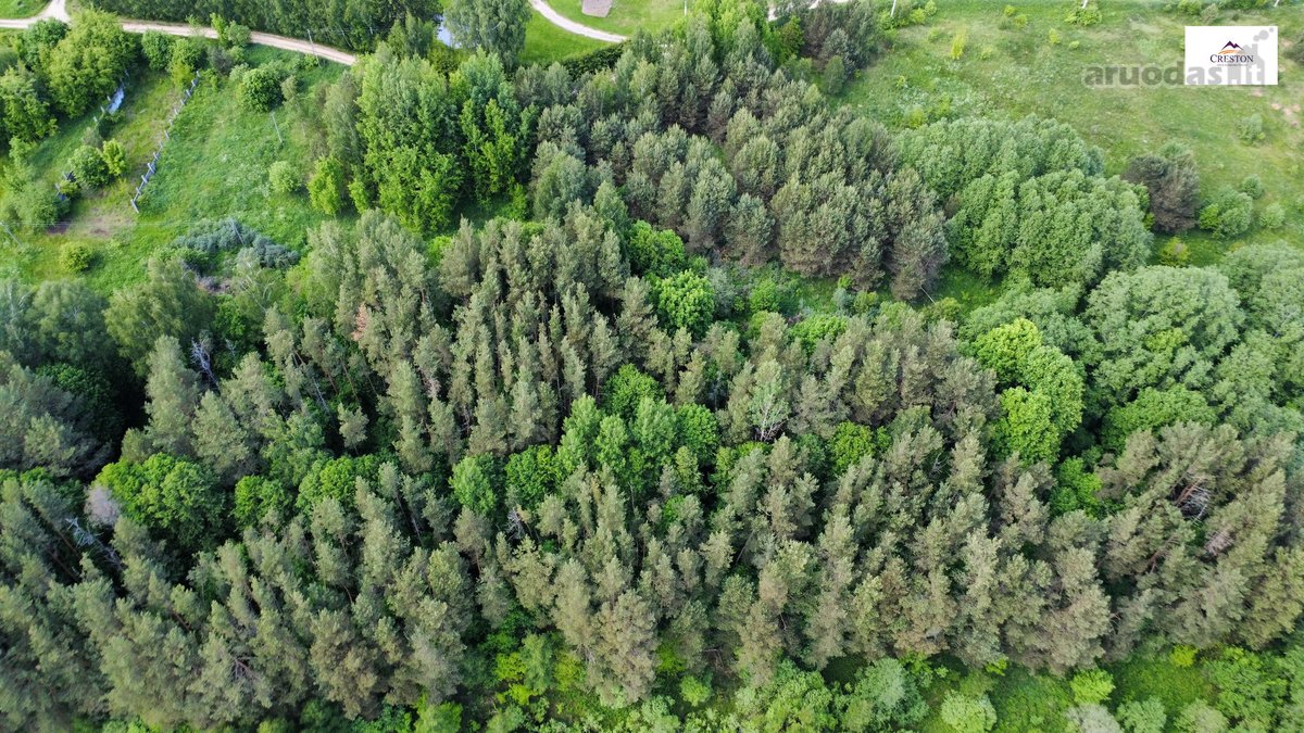 Parduodamas vaizdingas 47,85 a. žemės sklypas - nuotraukos Nr. 8
