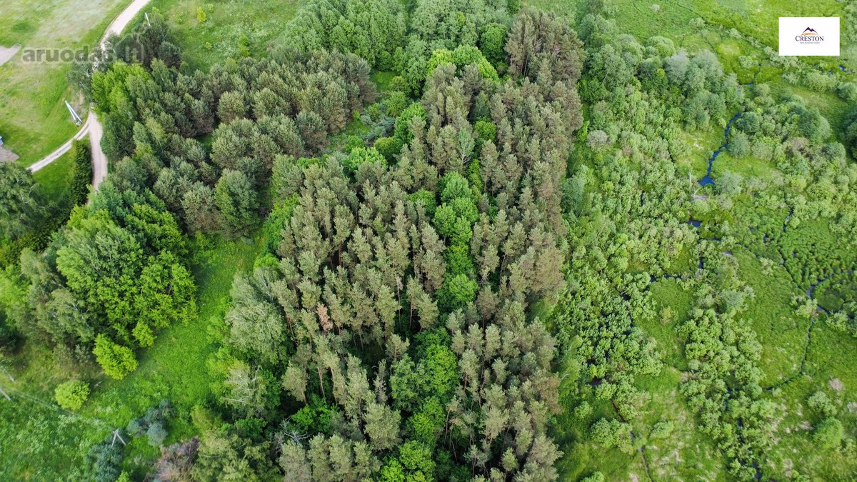 Parduodamas vaizdingas 47,85 a. žemės sklypas - nuotraukos Nr. 9