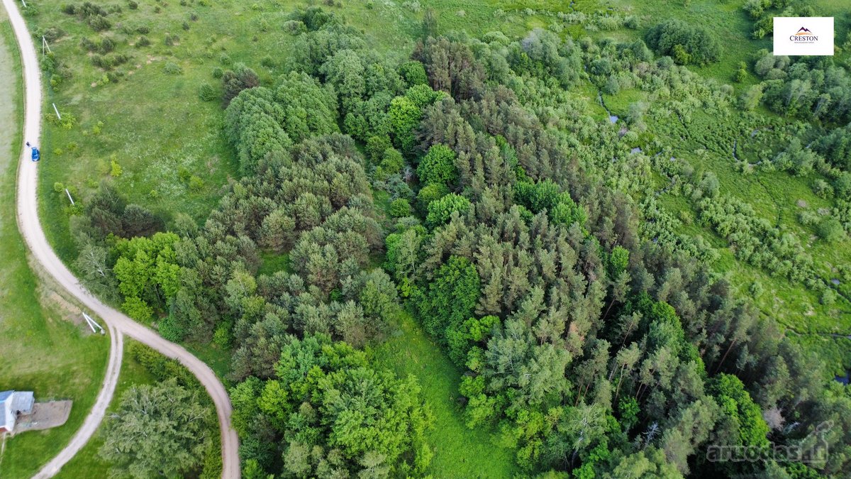 Parduodamas vaizdingas 47,85 a. žemės sklypas - nuotraukos Nr. 10