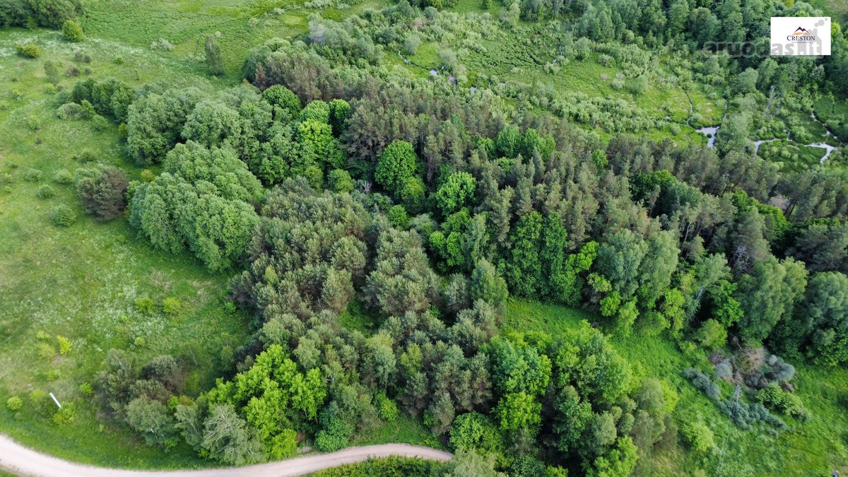 Parduodamas vaizdingas 47,85 a. žemės sklypas - nuotraukos Nr. 11