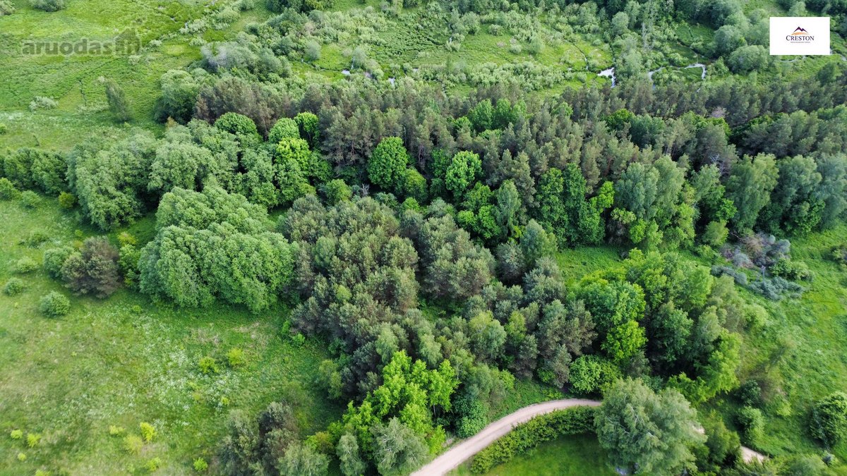 Parduodamas vaizdingas 47,85 a. žemės sklypas - nuotraukos Nr. 12
