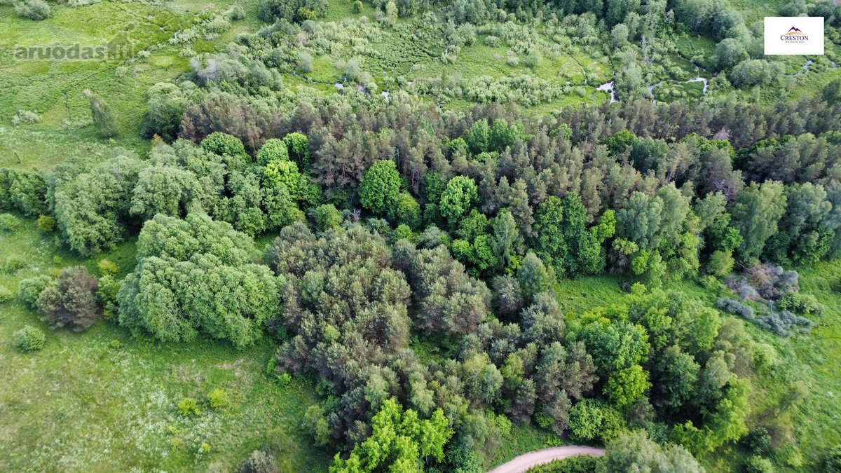 Parduodamas vaizdingas 47,85 a. žemės sklypas - nuotraukos Nr. 13