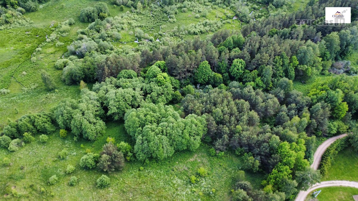 Parduodamas vaizdingas 47,85 a. žemės sklypas - nuotraukos Nr. 14