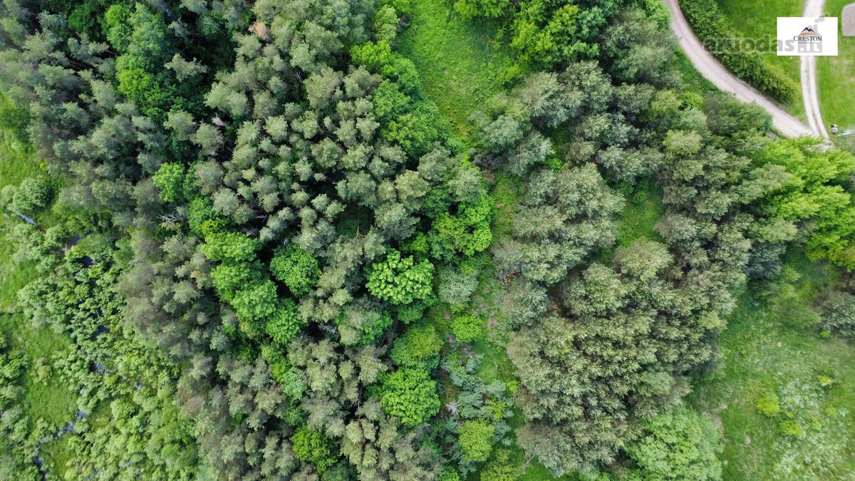 Parduodamas vaizdingas 47,85 a. žemės sklypas - nuotraukos Nr. 15