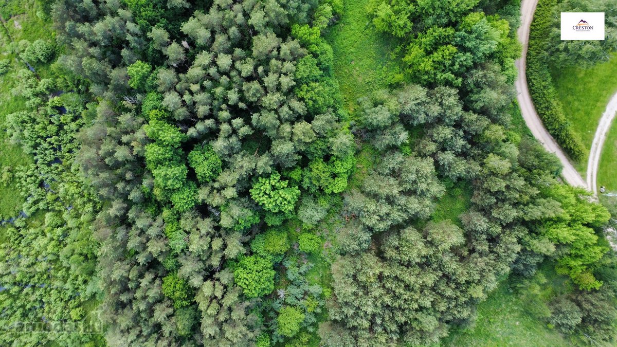 Parduodamas vaizdingas 47,85 a. žemės sklypas - nuotraukos Nr. 3