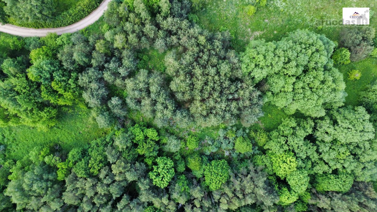 Parduodamas vaizdingas 47,85 a. žemės sklypas - nuotraukos Nr. 16