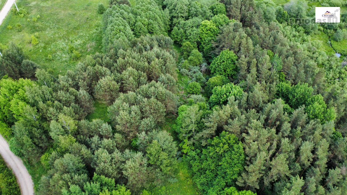 Parduodamas vaizdingas 47,85 a. žemės sklypas - nuotraukos Nr. 25