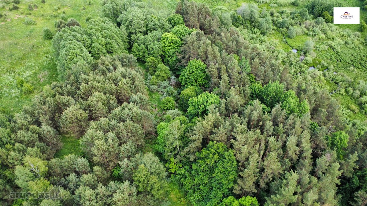 Parduodamas vaizdingas 47,85 a. žemės sklypas - nuotraukos Nr. 26
