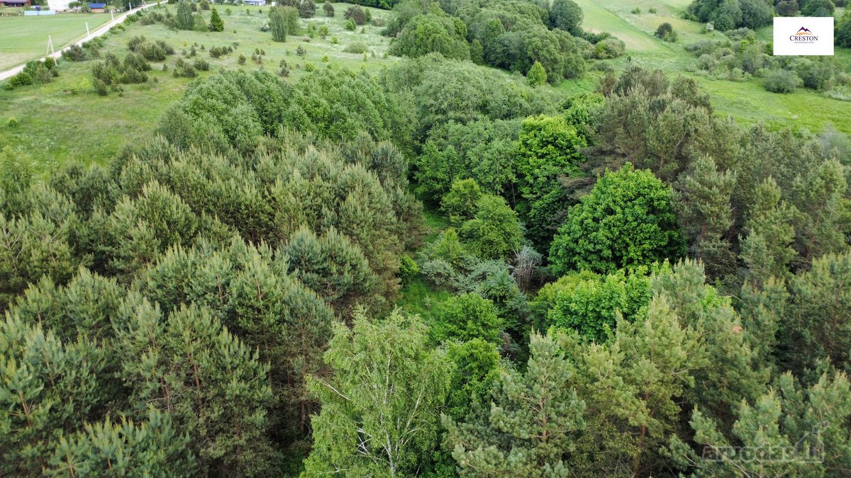 Parduodamas vaizdingas 47,85 a. žemės sklypas - nuotraukos Nr. 27
