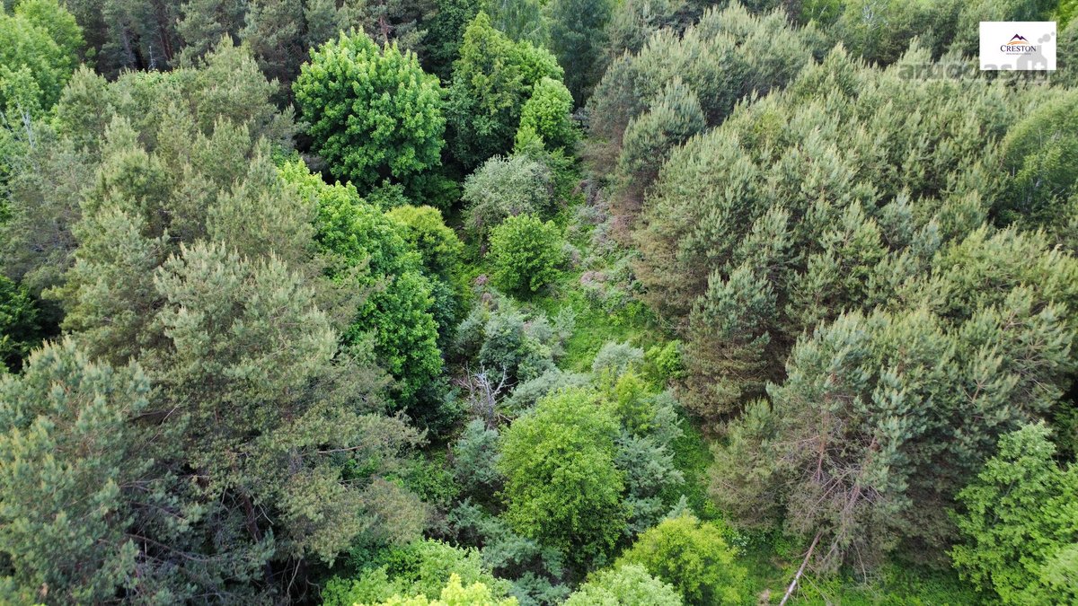 Parduodamas vaizdingas 47,85 a. žemės sklypas - nuotraukos Nr. 28