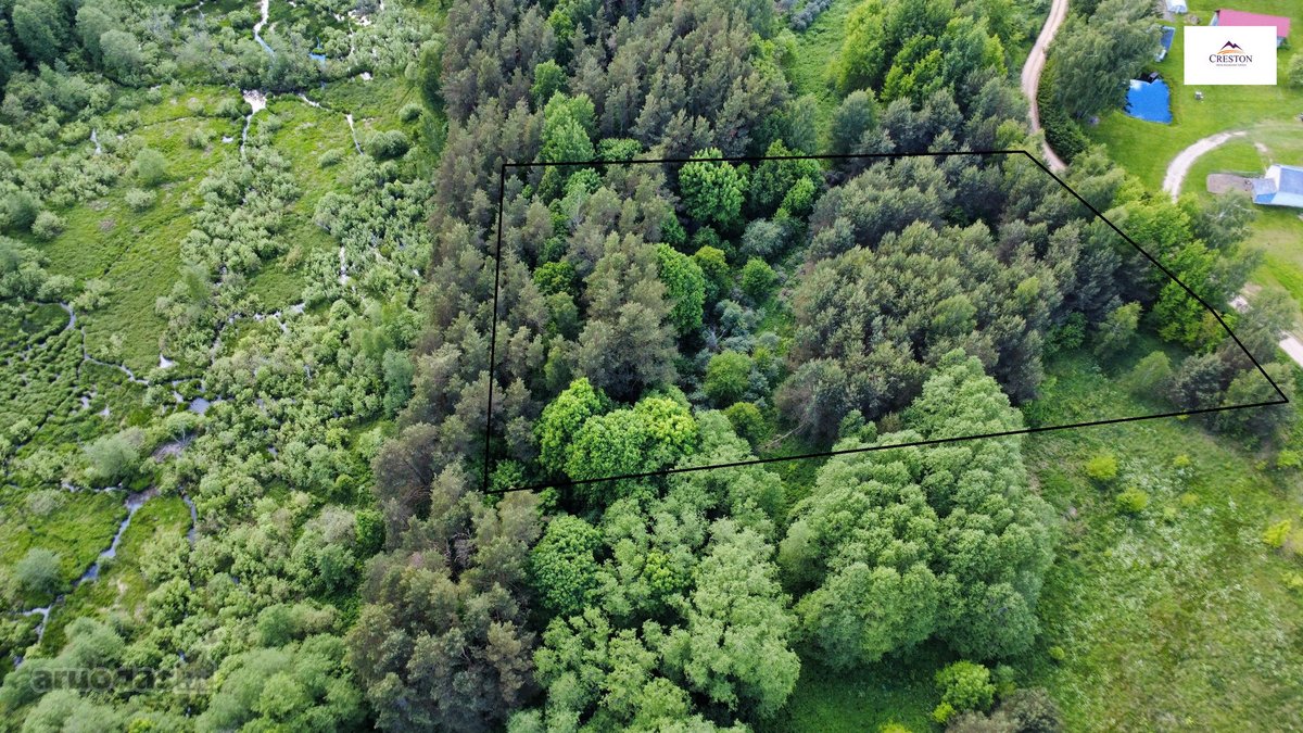 Parduodamas vaizdingas 47,85 a. žemės sklypas - nuotraukos Nr. 2