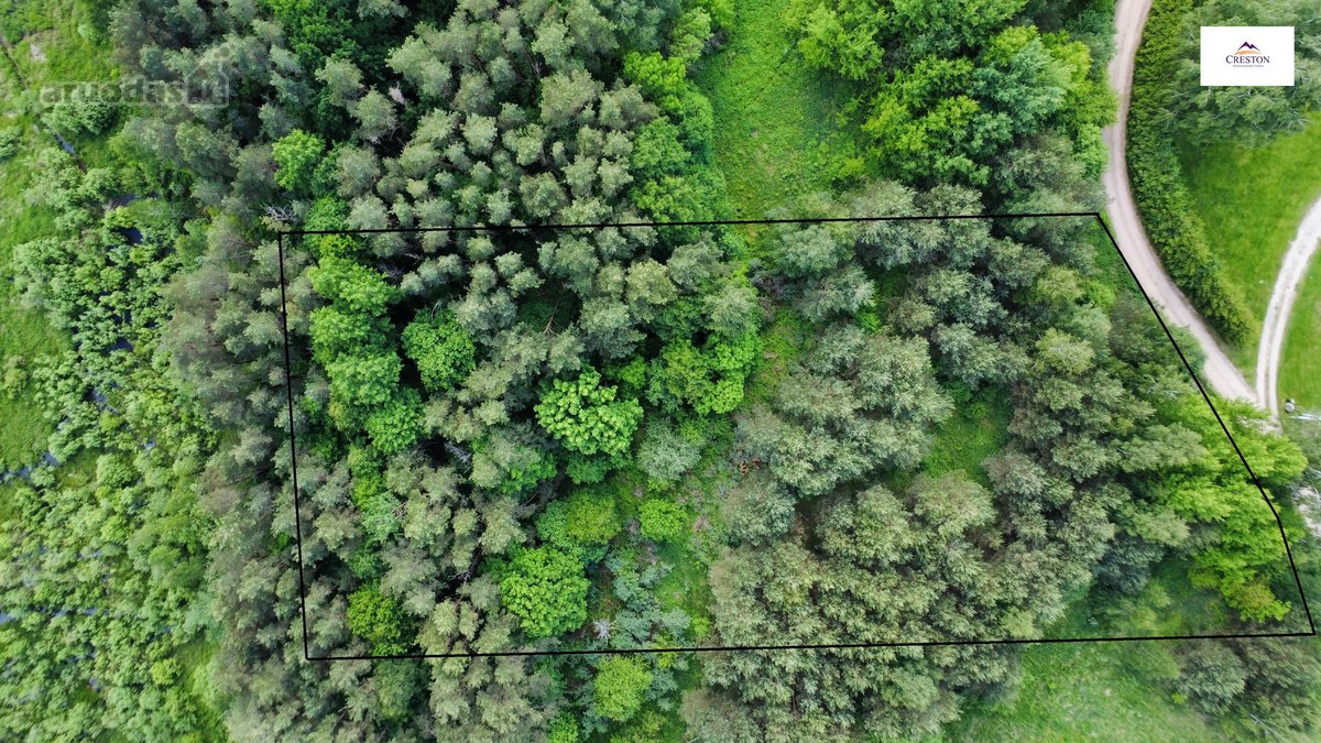 Parduodamas vaizdingas 47,85 a. žemės sklypas - nuotraukos Nr. 4