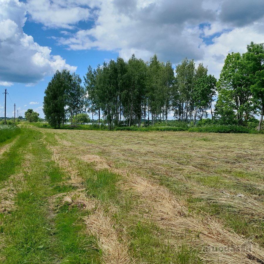 Parduodamas 1,16 ha sklypas prie Pravalo - nuotraukos Nr. 2