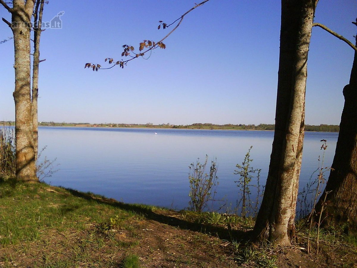 Parduodamas 1,16 ha sklypas prie Pravalo - nuotraukos Nr. 6