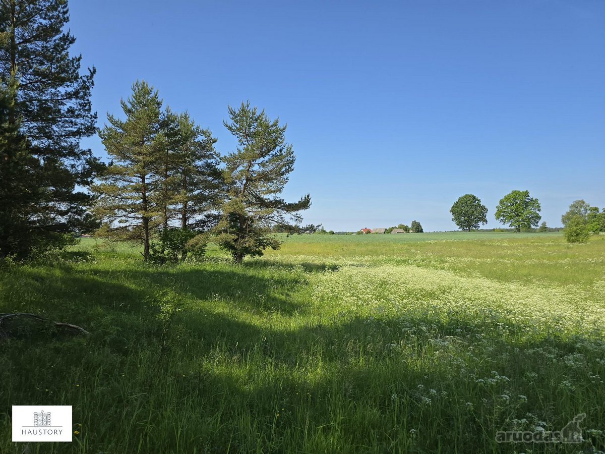 Parduodamas 4,35 ha ploto žemės sklypas - nuotraukos Nr. 2