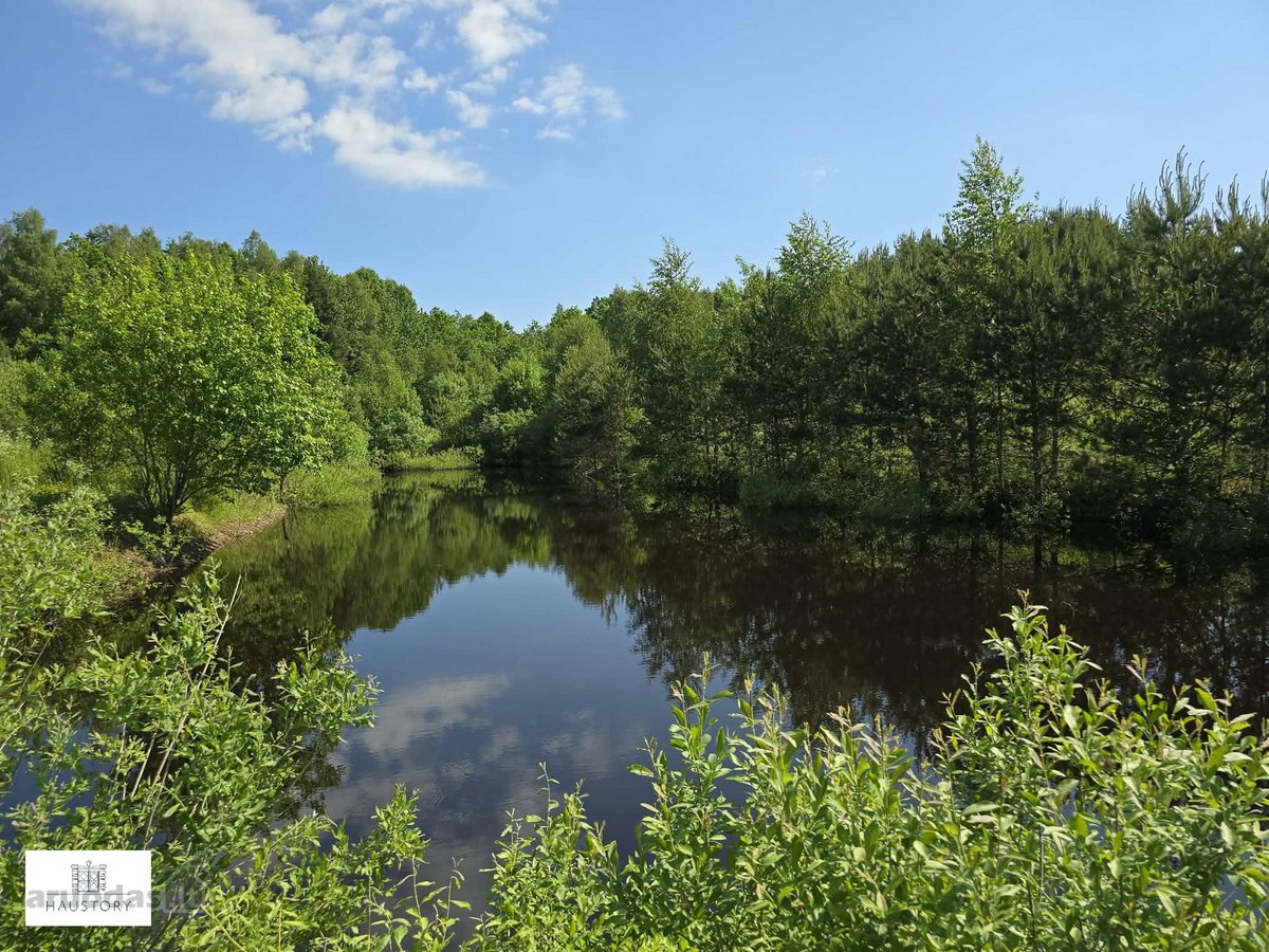 Parduodamas 4,35 ha ploto žemės sklypas - nuotraukos Nr. 3