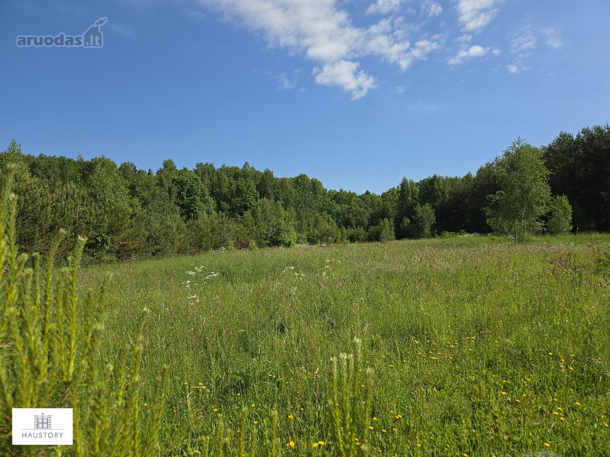 Parduodamas 4,35 ha ploto žemės sklypas - nuotraukos Nr. 9