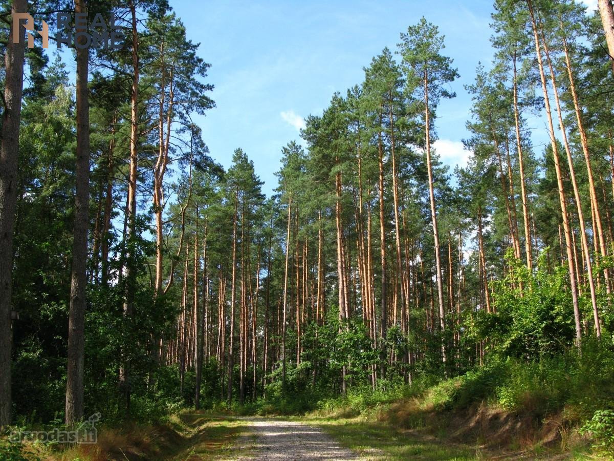 Visos Komunikacijos. Asfaltuotas Ir - nuotraukos Nr. 14