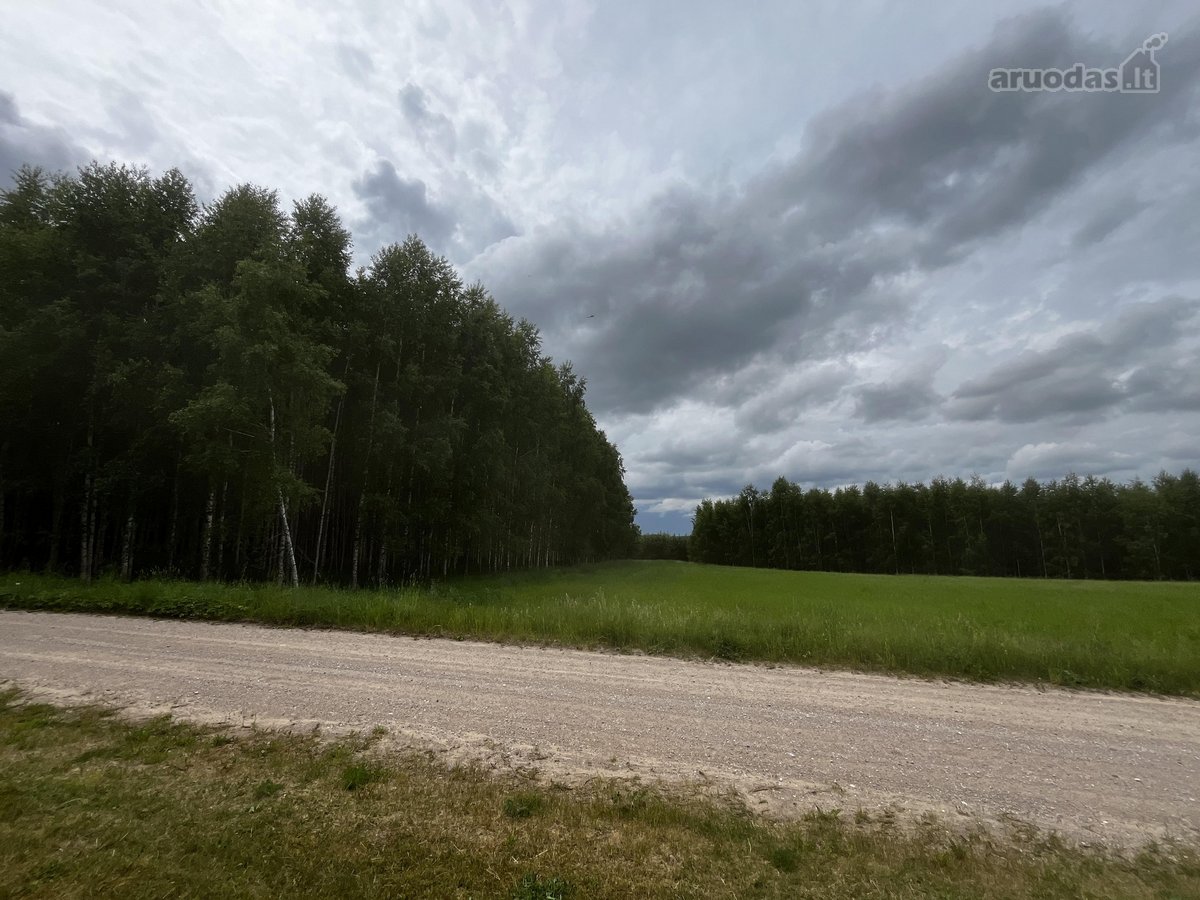 Parduodama ramioje gražioje vietoje Gailaičių - nuotraukos Nr. 15