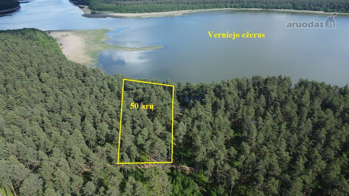 50 arų sklypas šimtamečiame pušyne su Vernijo