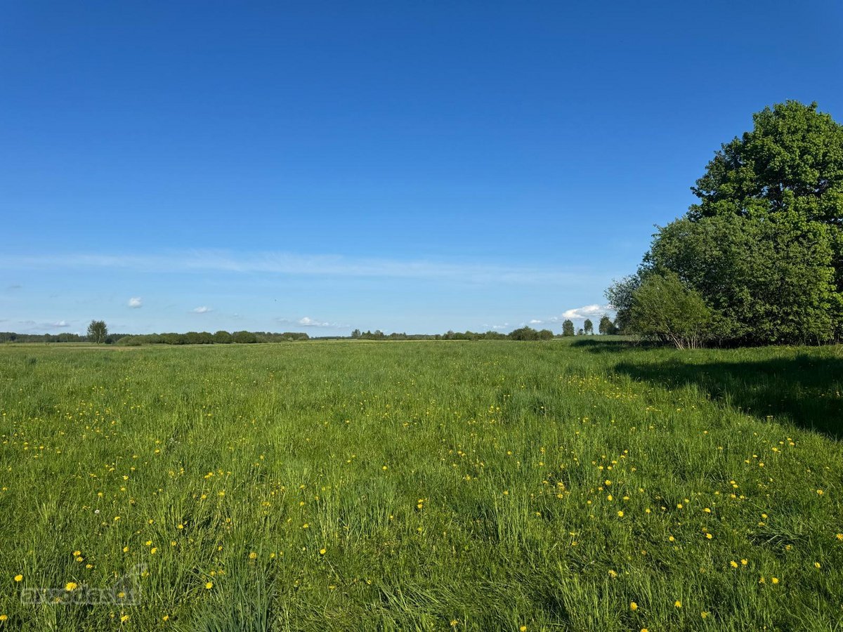 Parduodamas išskirtinis 2,32 ha sklypas su - nuotraukos Nr. 8