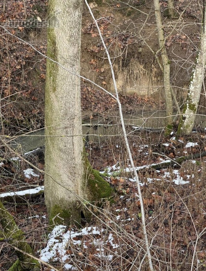 Parduodamas išskirtinis 2,32 ha sklypas su - nuotraukos Nr. 10