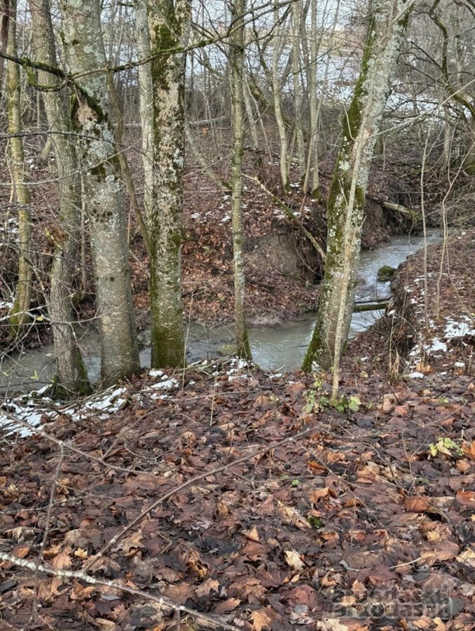 Parduodamas išskirtinis 2,32 ha sklypas su - nuotraukos Nr. 11
