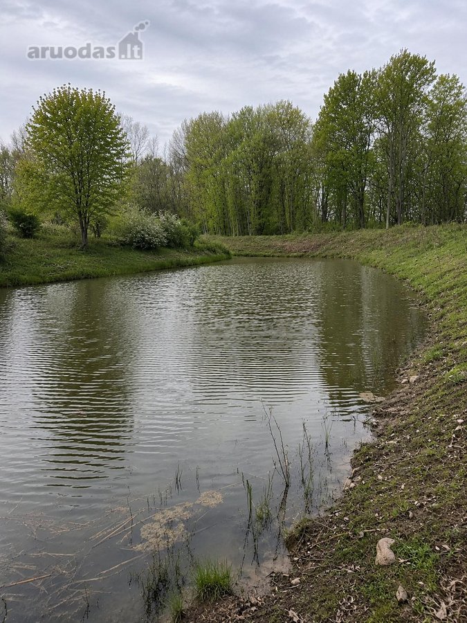 Parduodamas išskirtinis 2,32 ha sklypas su - nuotraukos Nr. 2