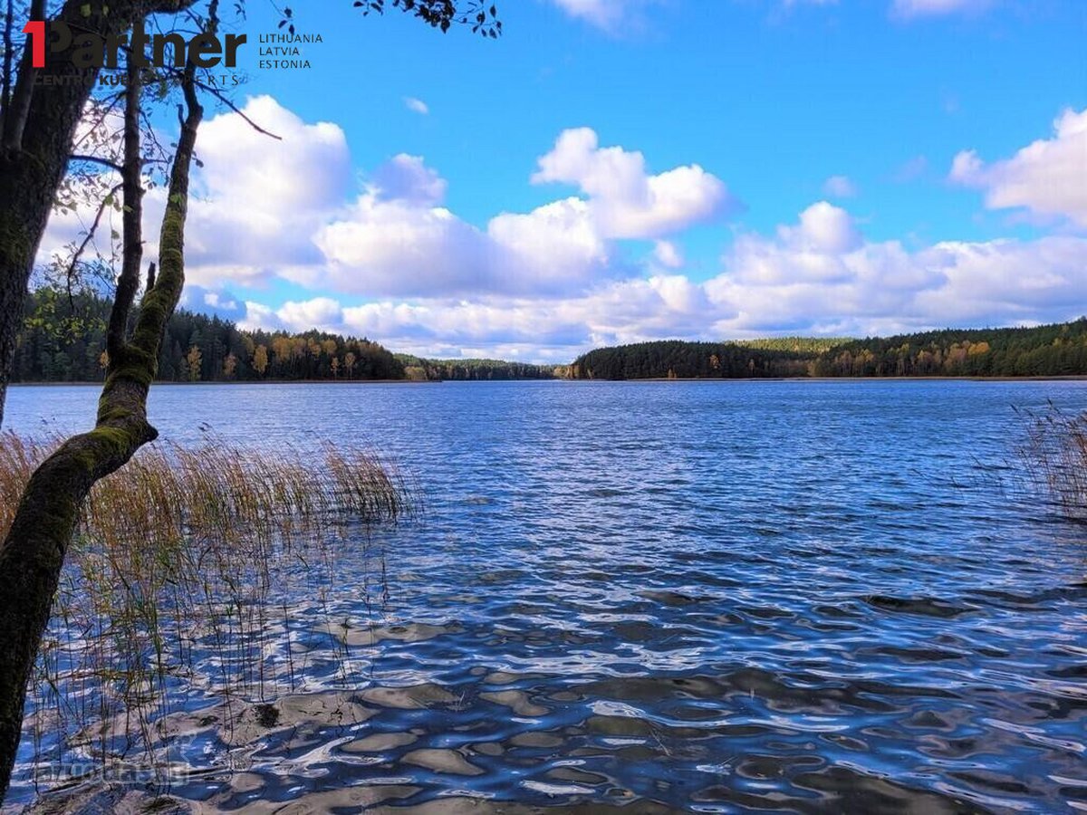Trakų r., Julijanavos k. parduodamas namų - nuotraukos Nr. 23