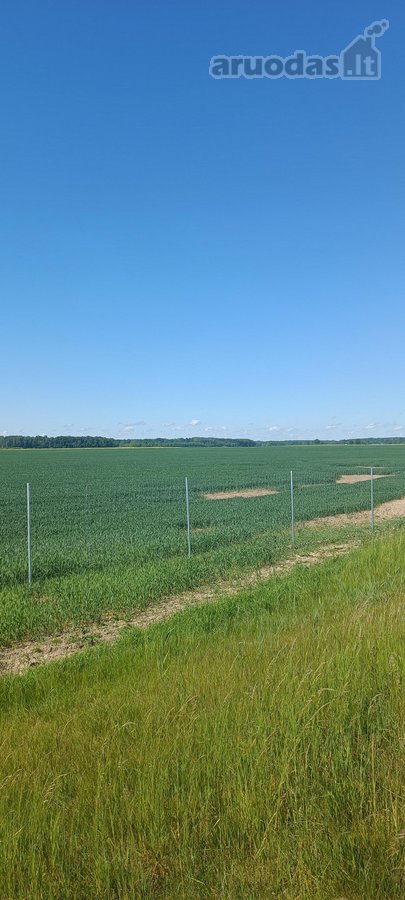 Šalia automagistralės Vilnius - Klaipėda - nuotraukos Nr. 2