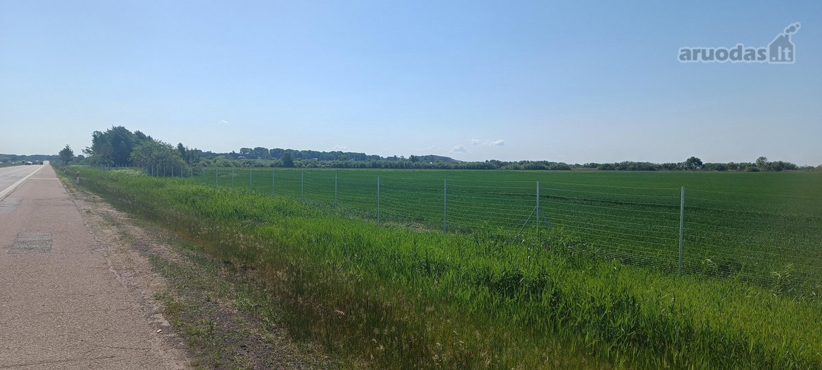 Šalia automagistralės Vilnius - Klaipėda - nuotraukos Nr. 3