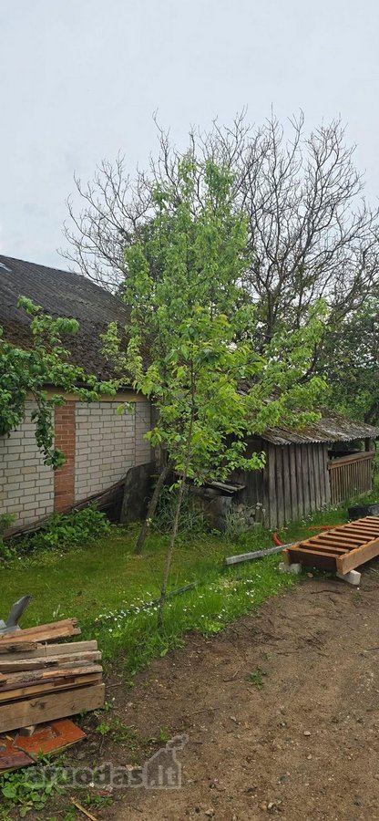 Parduodamas dviejų aukštų sodo namas miesto - nuotraukos Nr. 23