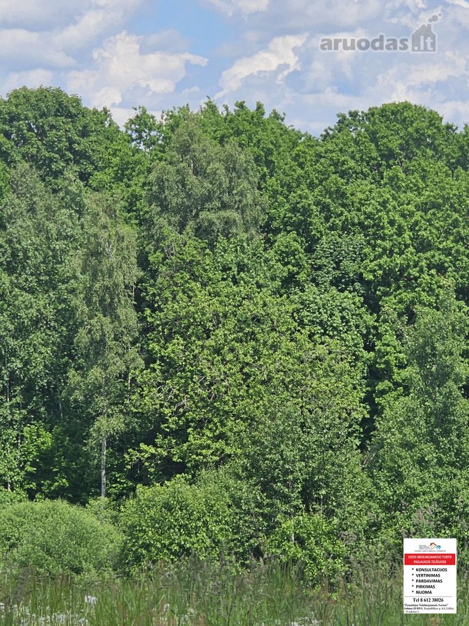 Parduodami 15,26ha bendro ploto sklypai su - nuotraukos Nr. 3