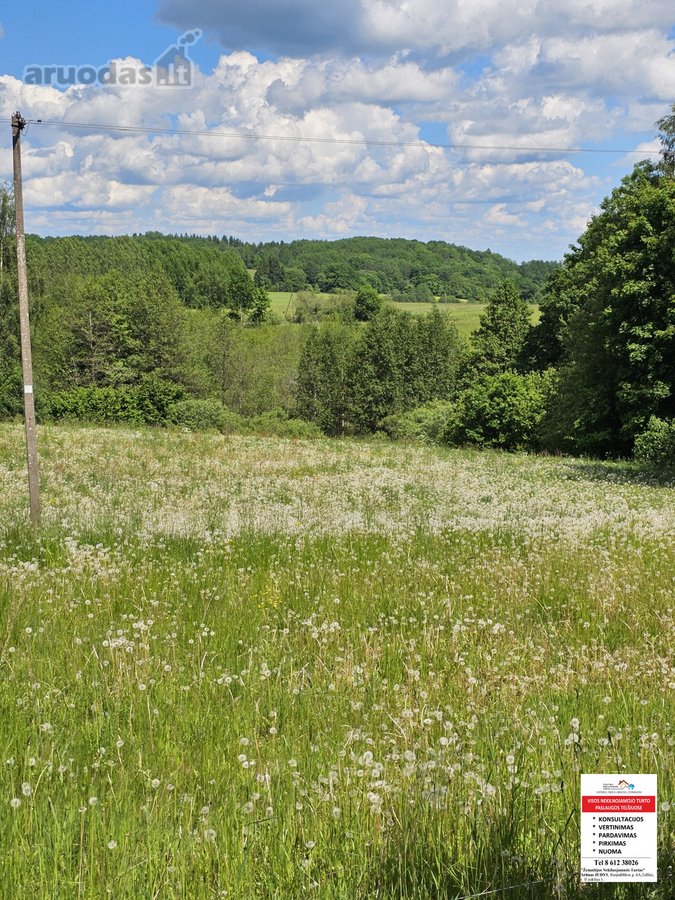 Parduodami 15,26ha bendro ploto sklypai su - nuotraukos Nr. 5