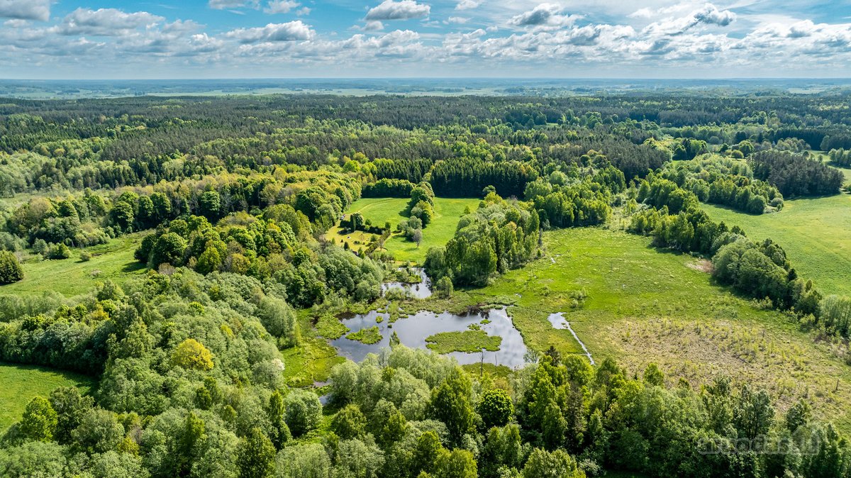 Parduodama Sodyba Žemaitijos Nacionaliniame Parke. - nuotraukos Nr. 16