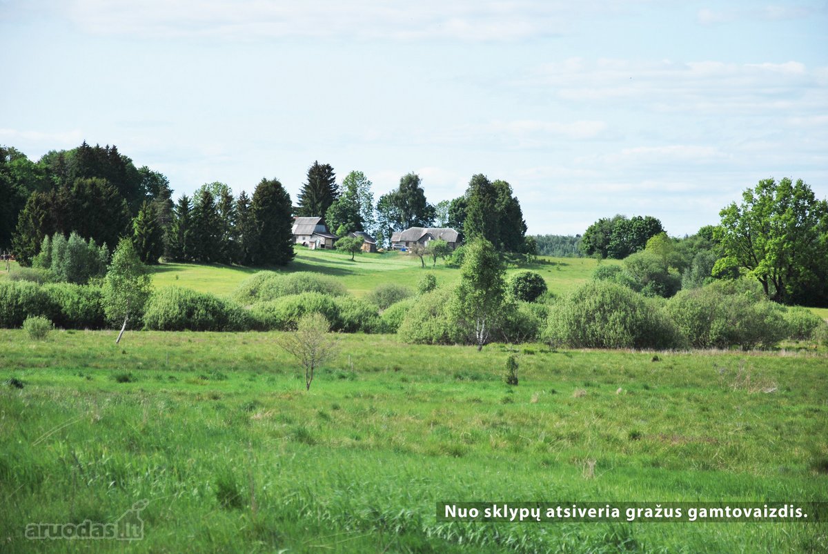 Visiškai šalia Riešės gyvenvietės parduodami - nuotraukos Nr. 9