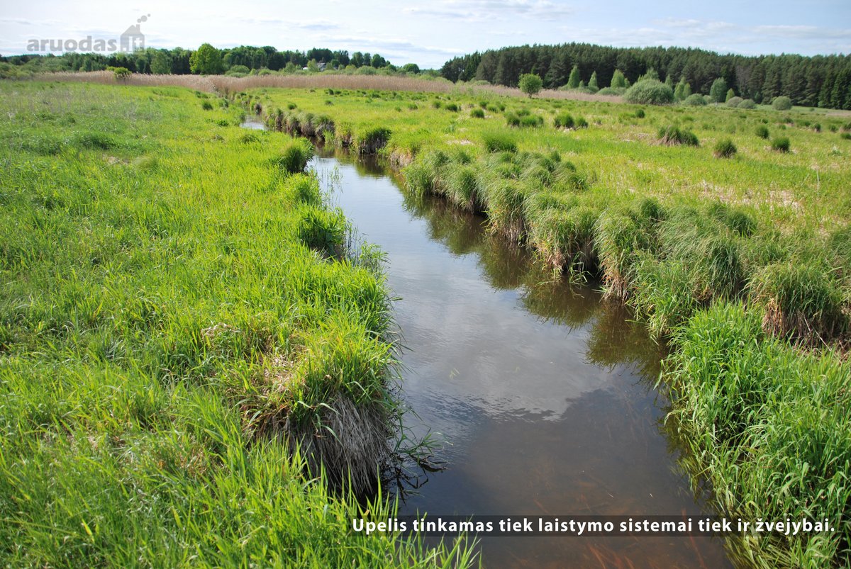 Visiškai šalia Riešės gyvenvietės parduodami - nuotraukos Nr. 11