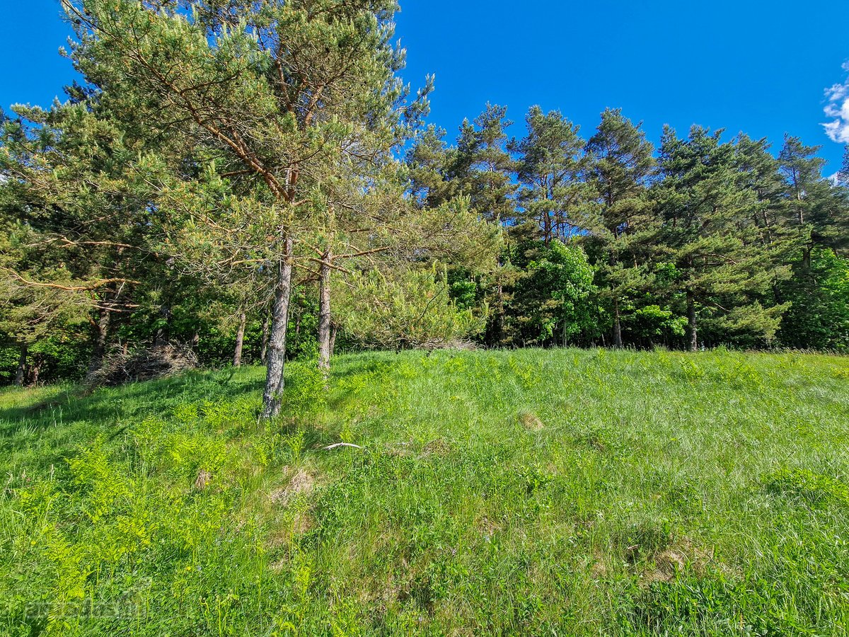 Parduodamas 50 Arų Sklypas Čepurniškėse Su - nuotraukos Nr. 3