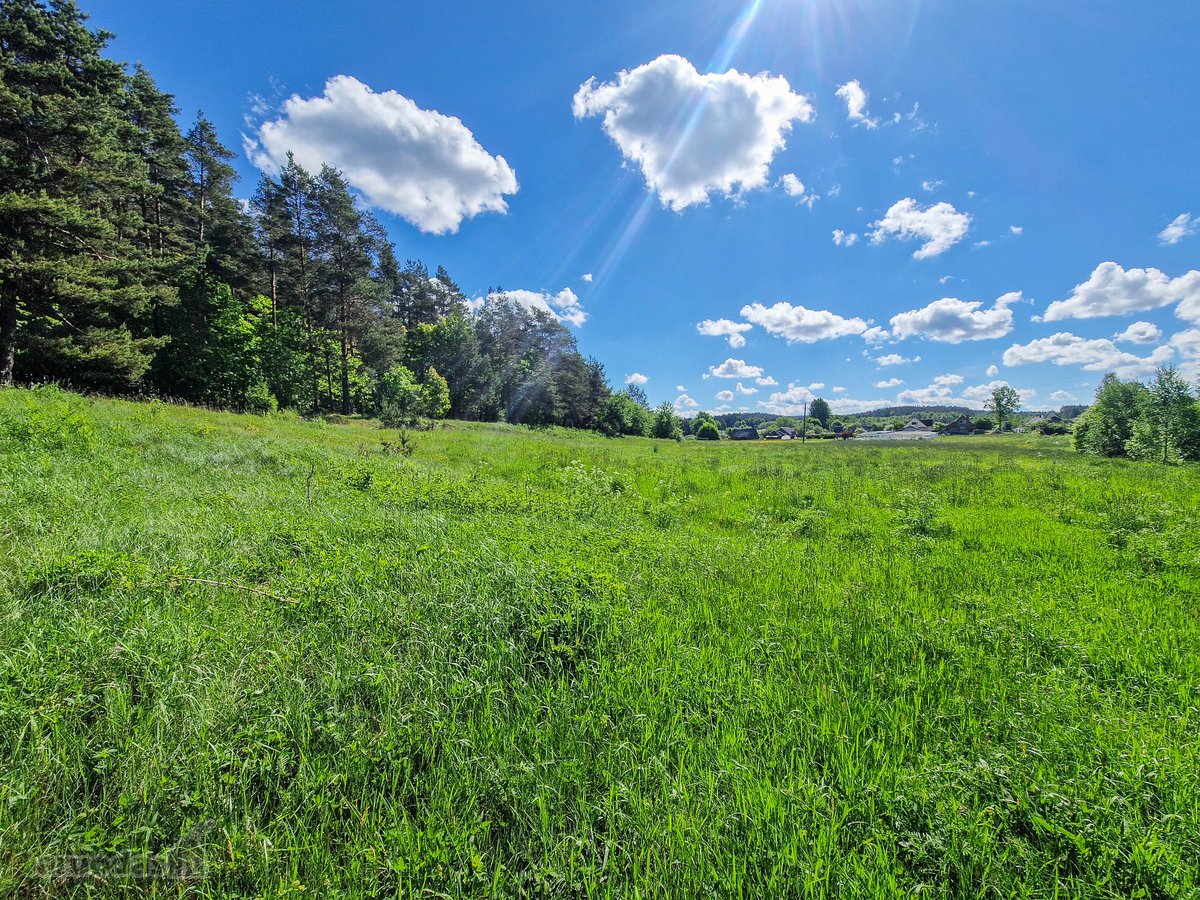 Parduodamas 50 Arų Sklypas Čepurniškėse Su - nuotraukos Nr. 5
