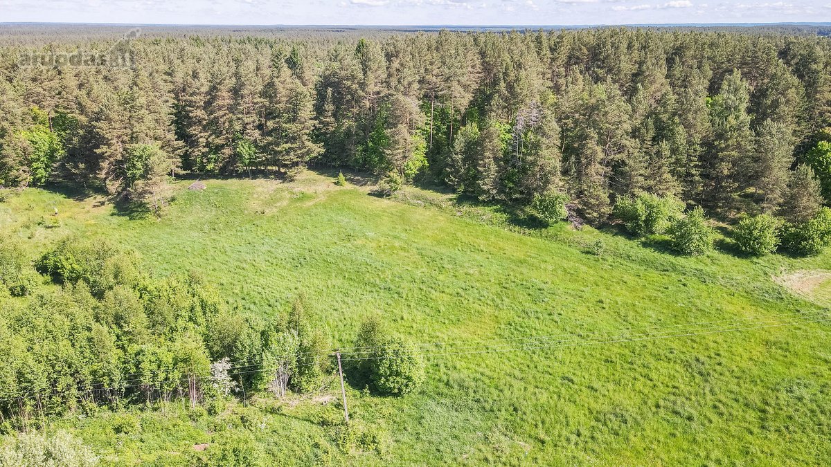 Parduodamas 50 Arų Sklypas Čepurniškėse Su - nuotraukos Nr. 6