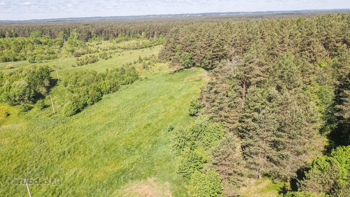 Parduodamas 50 Arų Sklypas Čepurniškėse Su - nuotraukos Nr. 8
