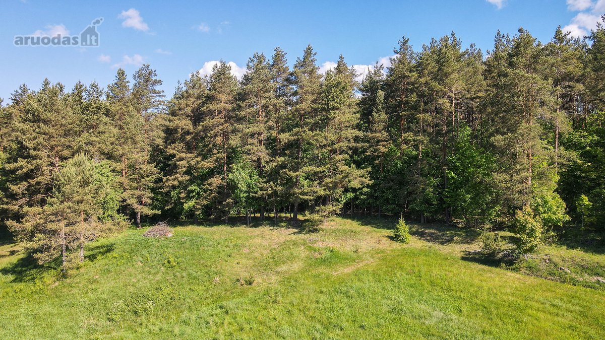 Parduodamas 50 Arų Sklypas Čepurniškėse Su - nuotraukos Nr. 10
